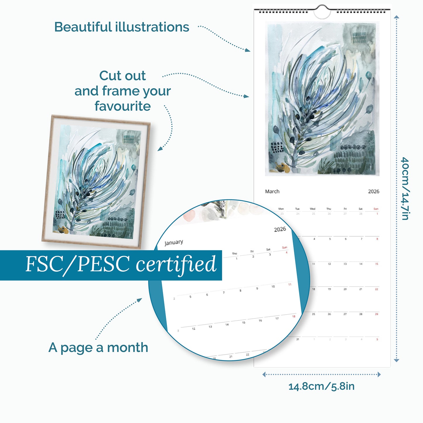 TranquilHive 2026 Calendar - Elegant Protea Artwork by Bonny Jennings