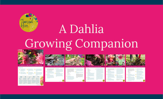 A Dahlia Growing Companion - really easy!