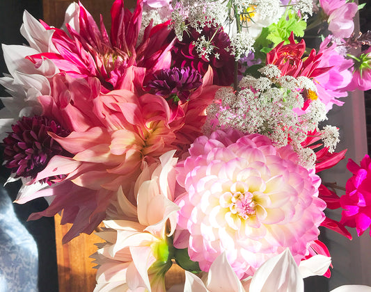 A bunch of different kinds of dahlias in a vase 