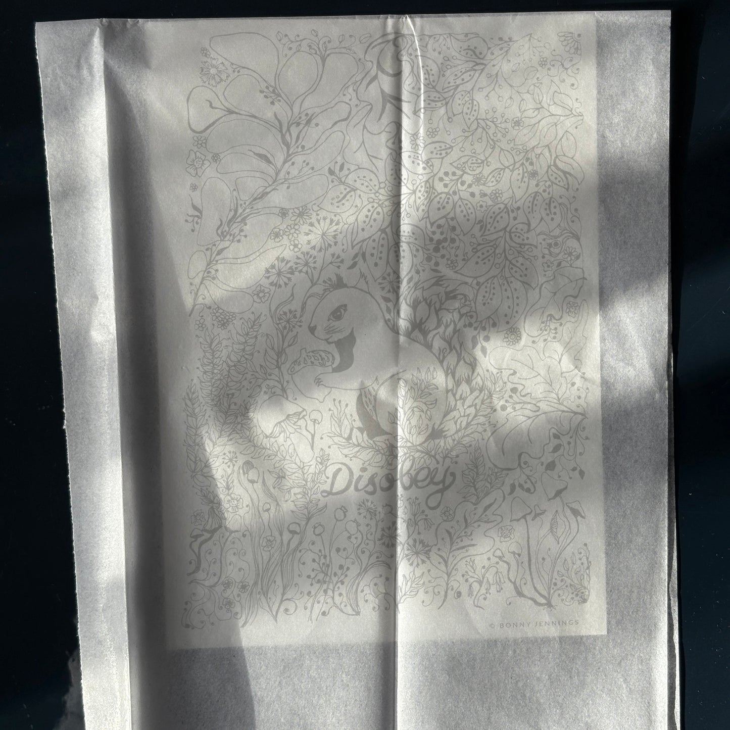 “Disobey” Woodland Squirrel, Black & White Art Print